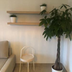 a chair and a plant in a living room at ANGEL in Bredene