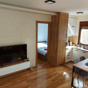 a living room with a television and a kitchen with a bed at Apartman Irvas Zlatibor in Zlatibor