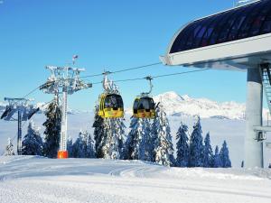 Chalet in Mühlbach near Hochkönig Ski Area v zimě