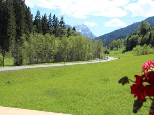 una strada in un campo con una montagna sullo sfondo di Nice Apartment in Kirchberg in Tyrol with Mountain View a Kirchberg in Tirol