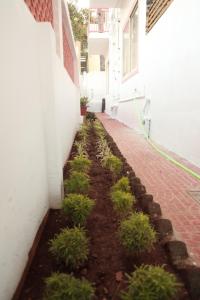 Zahrada ubytování Sai Inn Mysore