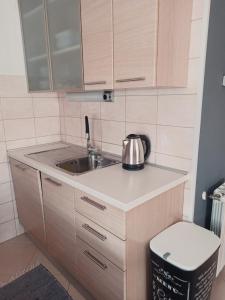 Il comprend une petite cuisine avec un lavabo et des toilettes. dans l'établissement Apartment Gaia, à Umag