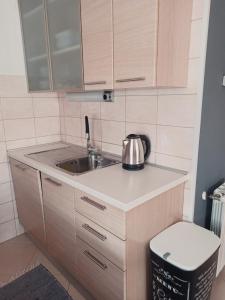 Kuchyň nebo kuchyňský kout v ubytování Apartment Gaia