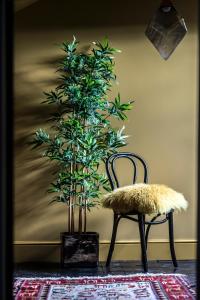 a chair and a potted plant in a room at BOHOTEL in Macclesfield