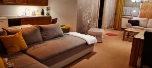 ein Wohnzimmer mit einem Sofa und einer Küche in der Unterkunft Ferienwohnung Halle/Lettin in Halle an der Saale