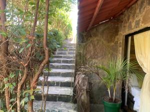 Zahrada ubytování Hotel Campestre mirador CaloPala