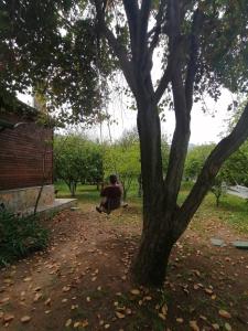 un homme assis sous un arbre dans un parc dans l'établissement Myland Nature, à Çıralı