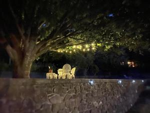 Fotografie z fotogalerie ubytování Nidi del faggio rosso - Family Holiday Home v destinaci Maresca