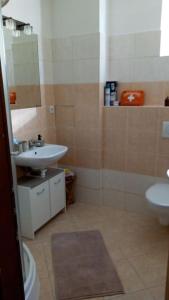 La salle de bains est pourvue d'un lavabo et de toilettes. dans l'établissement Mezonetový apartmán v Osčadnici, à Oščadnica