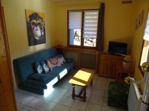 a living room with a blue couch and a television at Profiter du calme de la montagne vosgienne in Saulxures-sur-Moselotte