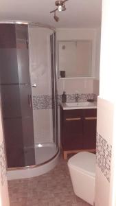 ein Badezimmer mit Dusche, Toilette und Waschbecken in der Unterkunft BiesCZADOWE miejsce in Lesko