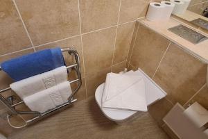 a bathroom with a toilet and towels on a wall at Beautiful 2-bed Apartment on Torquay seafront in Torquay +24 photos