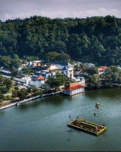 eine kleine Insel inmitten eines Wasserkörpers in der Unterkunft Kandy IVY Banks Holiday Resort in Kandy