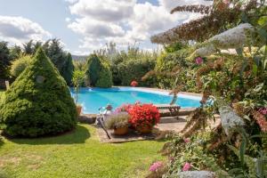 拉德库夫Agroturystyka Ranczo的花园中种有鲜花和植物的游泳池