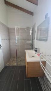 La salle de bains est pourvue d'une douche et d'un lavabo blanc. dans l'établissement Magnifique maison en bois avec piscine, à Sainte-Anne