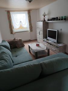 a living room with a green couch and a television at Ferienwohnung in Reinhardtsdorf