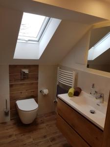 a bathroom with a toilet and a sink and a skylight at Ferienwohnung Weber Alpenglück in Lechbruck