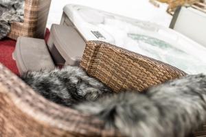Domácí mazlíčci ubytovaní s hosty v ubytování ArtHotel Anterleghes - Gardenahotels + 37 fotografií