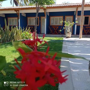 una flor roja delante de un edificio azul en Pousada e Restaurante do Francisco, en Icapuí