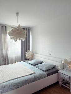 a white bedroom with a bed and a chandelier at Bel Appartement near Bâle Mulhouse Airport in Saint-Louis