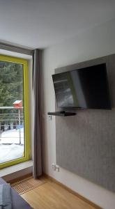 TV a/nebo společenská místnost v ubytování Harrachovský apartmán