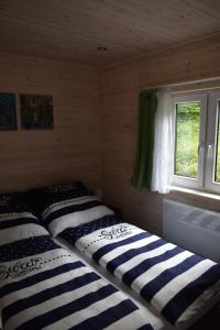 2 Betten in einem Zimmer mit Fenster in der Unterkunft Haus "Blücher" TinyHouse Mobilheim in Stuer