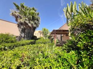 a house with a palm tree and bushes at Appartamenti Vacanza al centro in Pantelleria