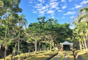 un chemin de terre avec des arbres sur ses côtés dans l'établissement Serafina Organic Farm®, à Jamao al Norte