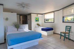 Gallery image of The Sunset Cove and Rainbow Room in Hatchet Bay Limited Settlement