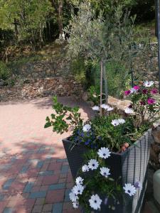 a flower garden with white flowers in a basket at Oroverde in Bergeggi