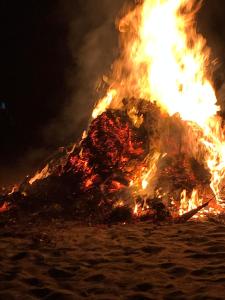 a large bonfire burning in the sand at night at CafeGourmetPtaCorona in San Carlos