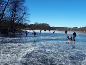 Hosté ubytování Rinser See-Hof