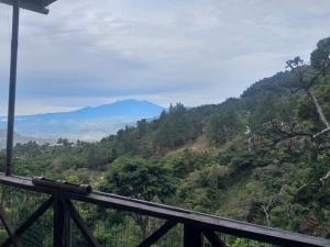 Landskap semula jadi dekat dengan inn ini