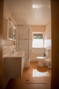 een badkamer met een wastafel, een toilet en een raam bij Hohlfeld´s Ferienwohnung in Bad Schandau