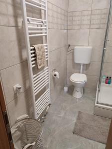 a small bathroom with a toilet and a shower at Apartments Pulic in Skradin