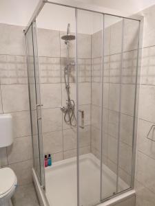 a shower with a glass enclosure in a bathroom at Apartments Pulic in Skradin