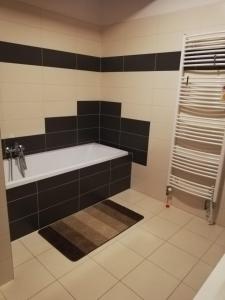 Koupelna v ubytování Apartmán Anička