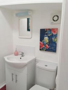 a bathroom with a sink and a toilet and a mirror at Longcroft Lodge in Bridlington