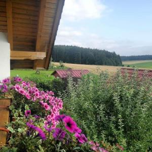 a garden with pink flowers in front of a house at Ferienwohnung Maria Waldblick in Burtenbach