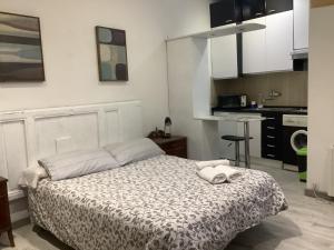 um pequeno quarto com uma cama e uma cozinha em Pelayo 44 Chueca em Madri