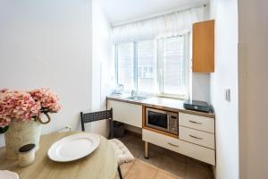 Kuchyňa alebo kuchynka v ubytovaní Apartmány Podyjí