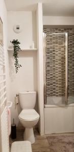 un bagno bianco con wc e doccia di Au Centre de la station de ski de Valfréjus - appartement 4-6 personnes a Valfréjus