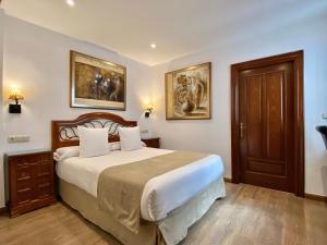 a bedroom with a large bed and a large mirror at Hostal Rodri in Granada