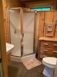 a bathroom with a shower and a toilet and a sink at The Cabin At Brookview Ask About Our Fun Bundles in Rapid City