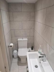 a bathroom with a white toilet and a sink at High gables Apartment 1 in Paignton