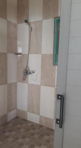 a shower in a bathroom with a tiled wall at johnny's studio in Grand Baie
