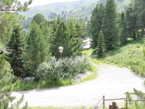 a dirt road with a lamp on a hill with trees at Spacious Chalet near Ski Area in Turracherhohe in Turracher Hohe