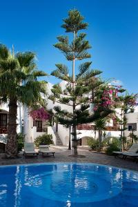 a swimming pool with a pine tree in front of a building at Veggera Beach Hotel in Perissa