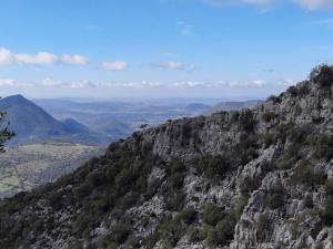 een uitzicht op een rotsachtige berg met bomen erop bij Apartamento Huerta Grande in Benaocaz