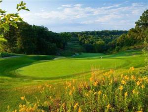 a view of a golf course with a green field at Peaceful 2-bedroom townhome retreat w/wooded view in Galena